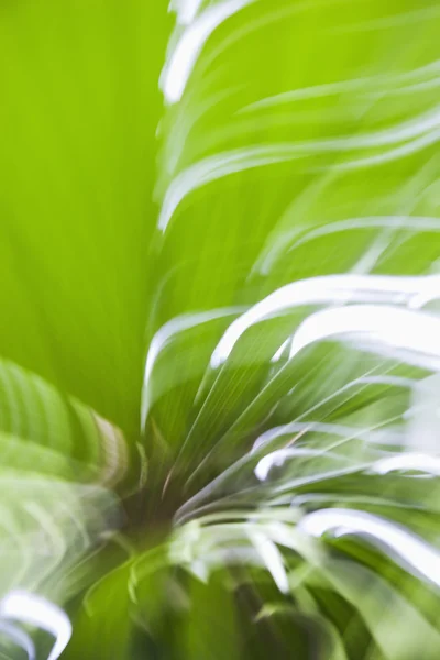 Motion blur. — Stock Photo, Image