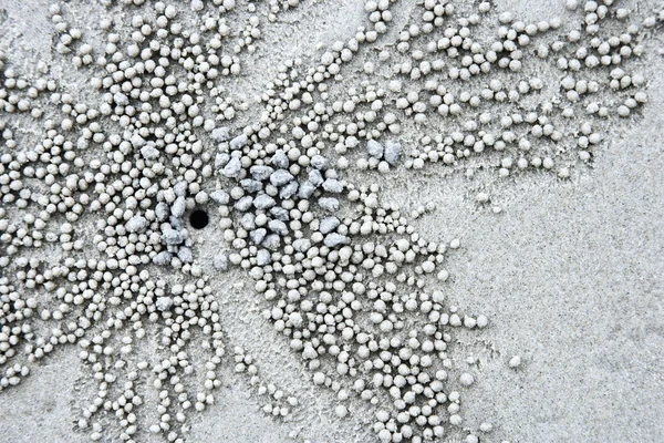 Seixos na areia . — Fotografia de Stock