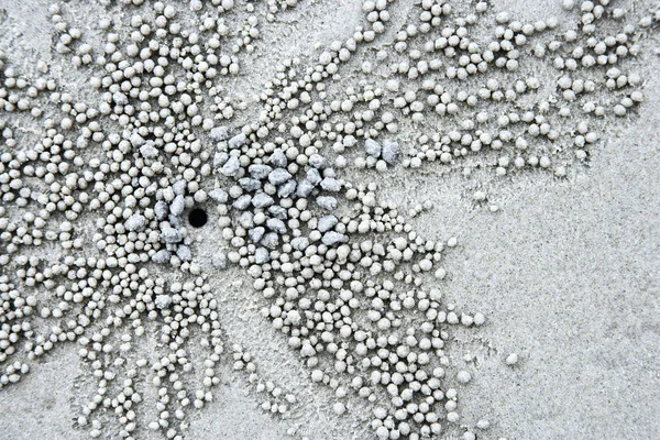 Pebbles in sand. — Stock Photo, Image