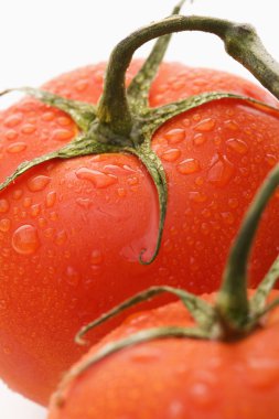 Tomato still life. clipart