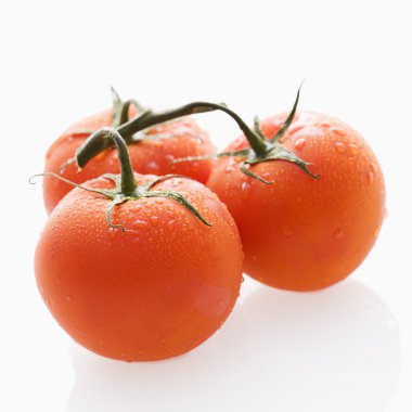 Tomato still life. clipart