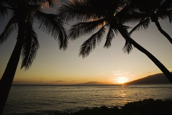 Tropische Hawaiiaanse zonsondergang. — Stockfoto