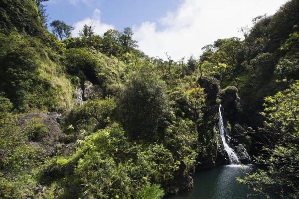 毛伊岛，夏威夷的瀑布. — 图库照片