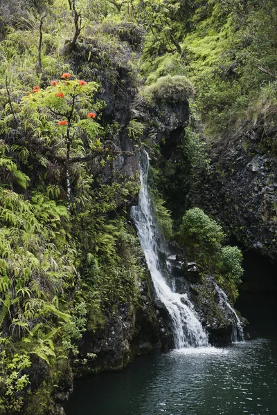 Tropical waterfall. — Stock Photo, Image