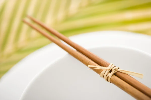Chopsticks on an Empty Bowl — Stock Photo, Image
