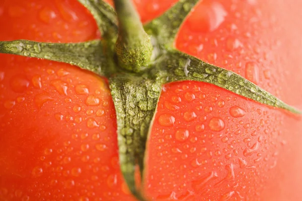 Tomato close up. — Stock Photo, Image