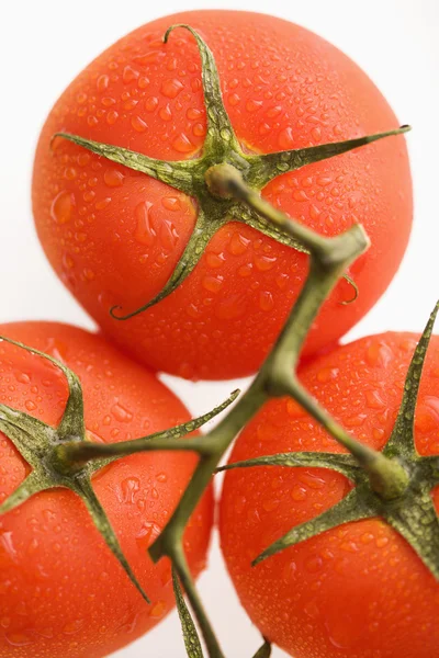 Tomates vermelhos . — Fotografia de Stock