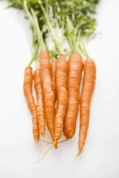 Ramo de zanahorias . —  Fotos de Stock
