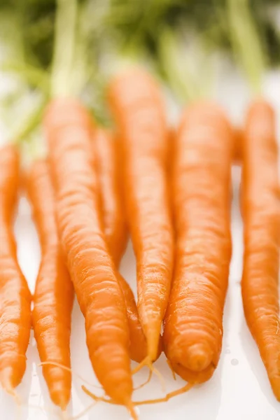 Orange carrots. — Stock Photo, Image