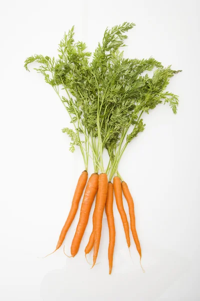 Морква на білому тлі . — стокове фото