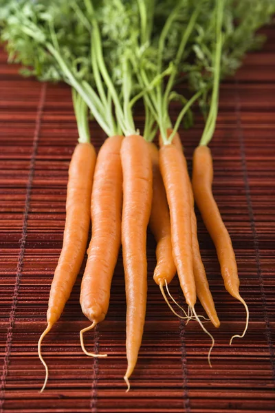 Porkkana asetelma . — kuvapankkivalokuva