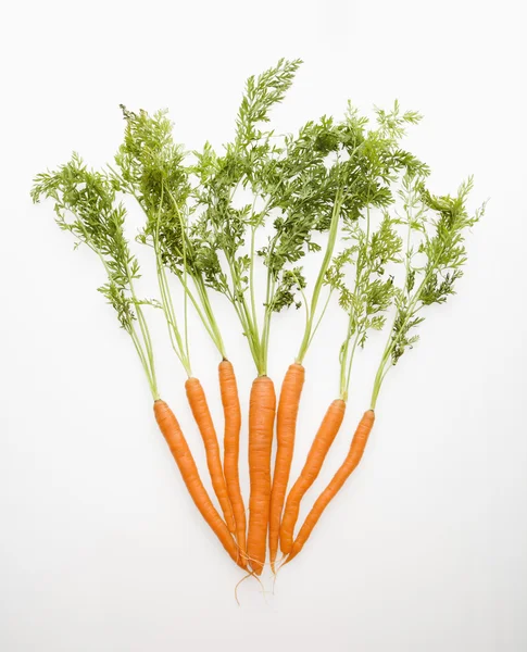 Gulrotgrønnsaker . – stockfoto