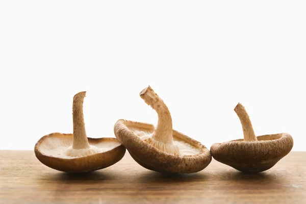 Drei Pilze. — Stockfoto