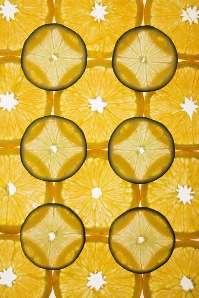 Citrus segment ontwerp. — Stockfoto