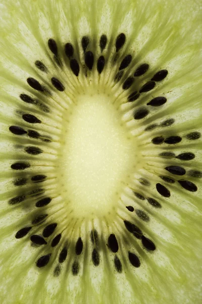 Kiwi frukt. — Stockfoto