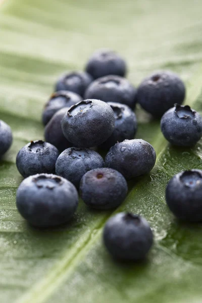 Blueberry fruit. — Stock Photo, Image