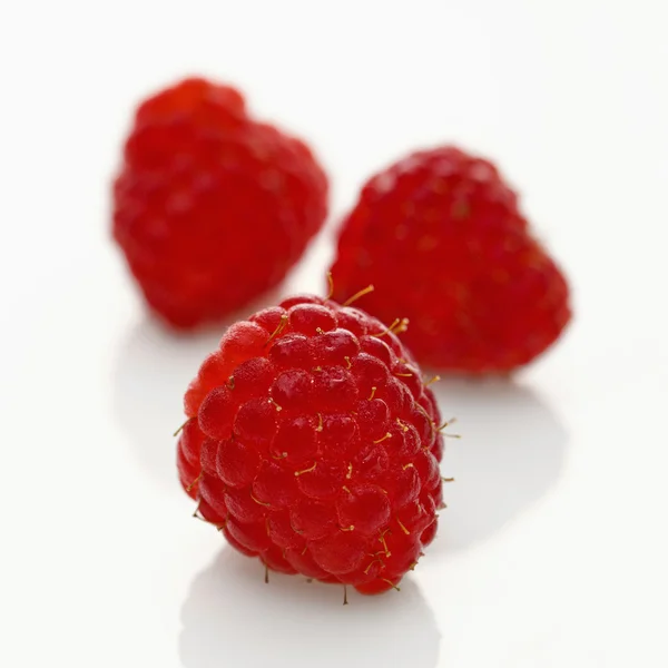 三红树莓. — 图库照片