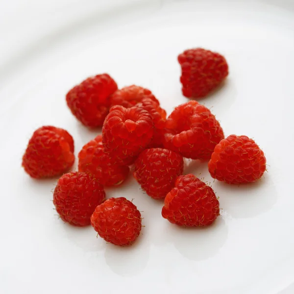 红树莓. — 图库照片