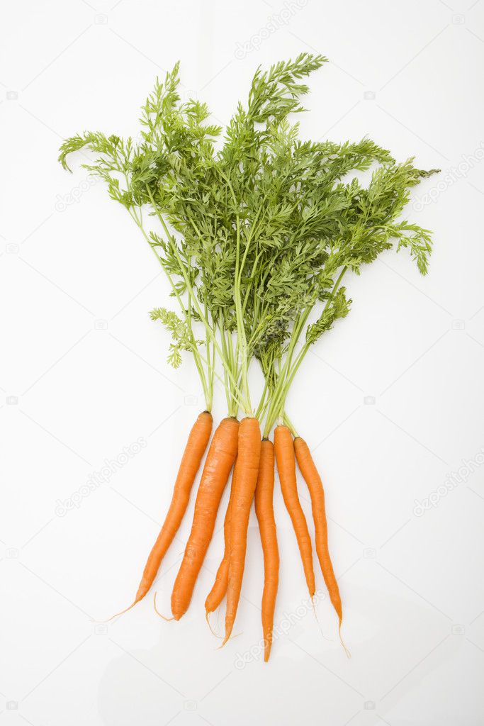 Carrots on white background.
