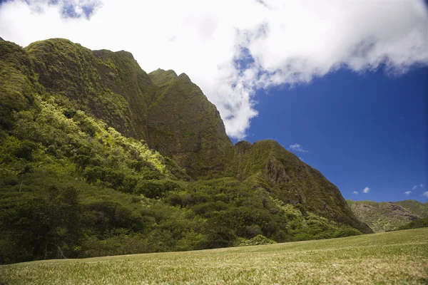 マウイ島の山の風景. — ストック写真