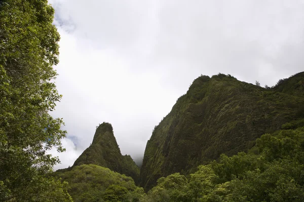 Maui mountain landscape. — Stock Photo, Image
