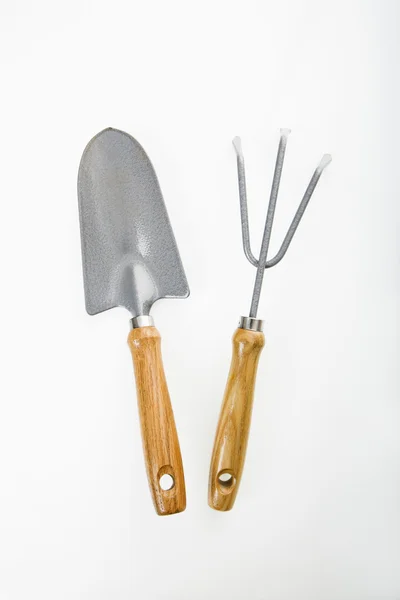 Spade and garden fork. Stock Photo
