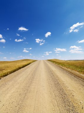 Rural Dirt Road Through Grassland clipart