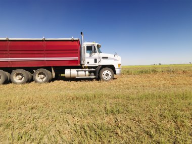 Semi truck in field. clipart