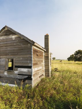 Old house in field. clipart
