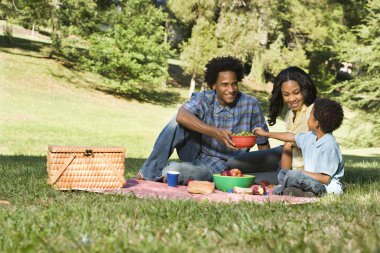 Picnic in park. clipart