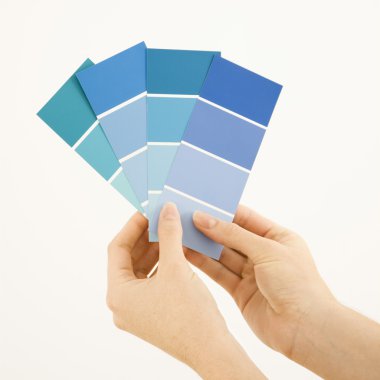 Woman holding paint swatches.