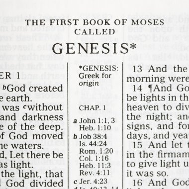 Holy Bible Genesis. clipart