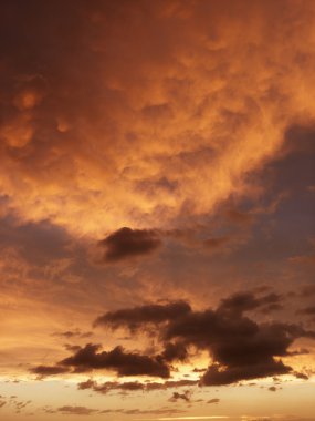 Beautiful clouds at sunset. clipart