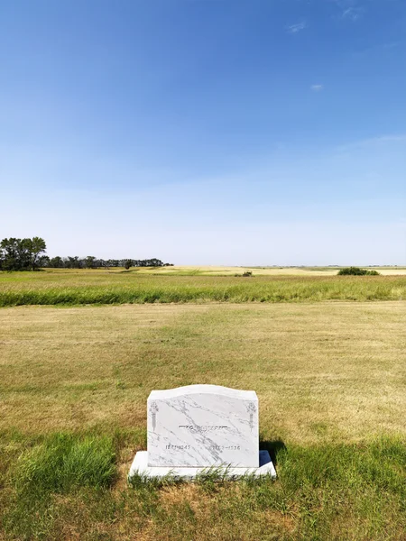 フィールドでの墓石在字段中的墓碑. — 图库照片