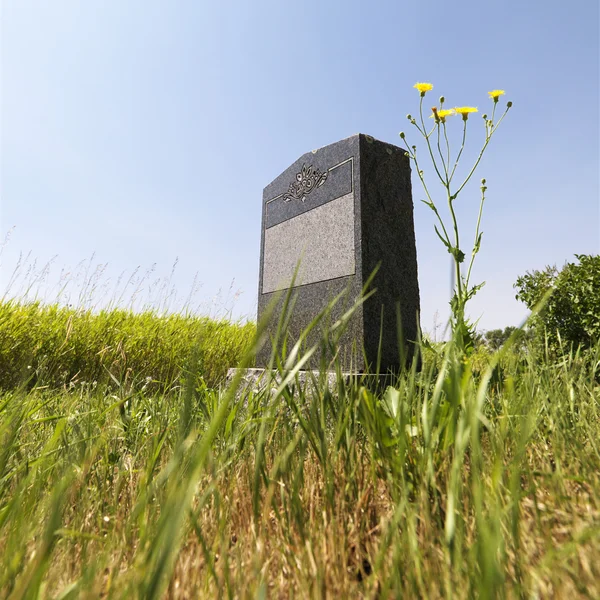 Надгробие в поле . — стоковое фото