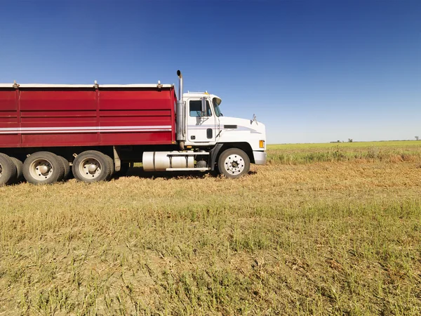 Semi truck in field. — Stock Photo, Image