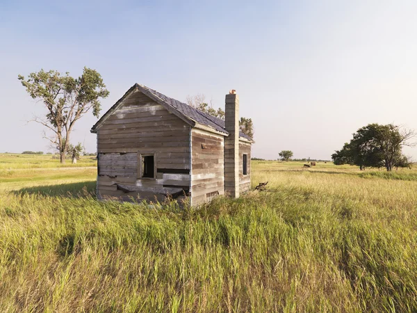 Baufälliges Haus auf Feld. — Stockfoto