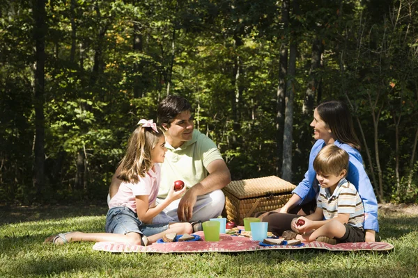 Семейный пикник . — стоковое фото