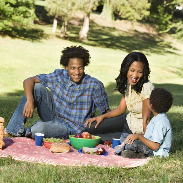 家族のピクニック. — ストック写真