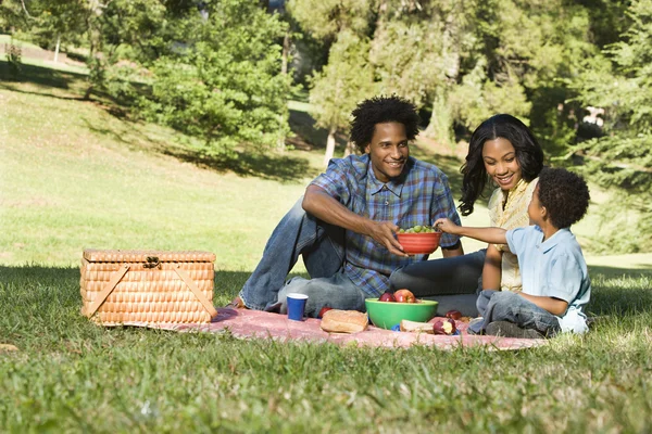 Picknick in het park. — Stockfoto