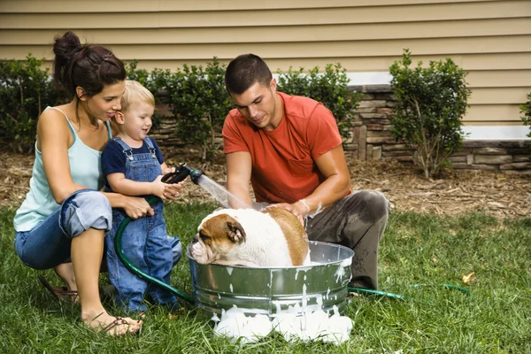 Família que dá ao cão um banho . — Fotografia de Stock