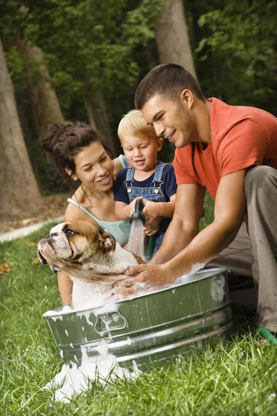 Familie geven hond een bad. — Stockfoto