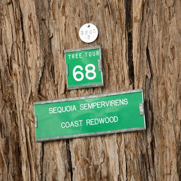 Redwood árvore sinal — Fotografia de Stock