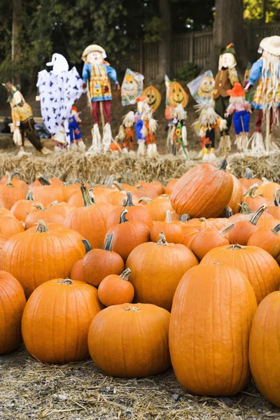 Herbstmarkt. — Stockfoto