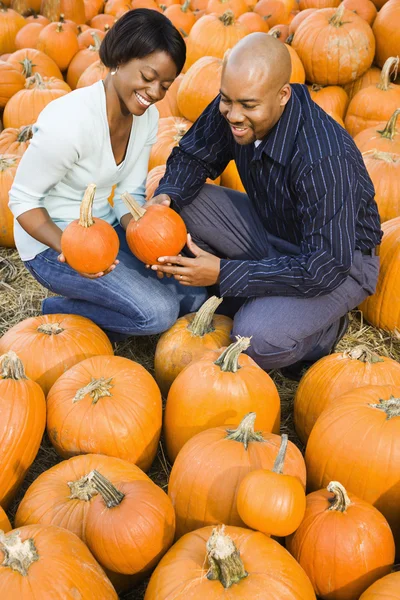 Couple picking pumpkin. — Stock Photo, Image