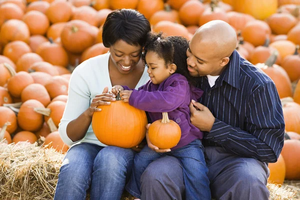 stock image Family holding pumpkins.
