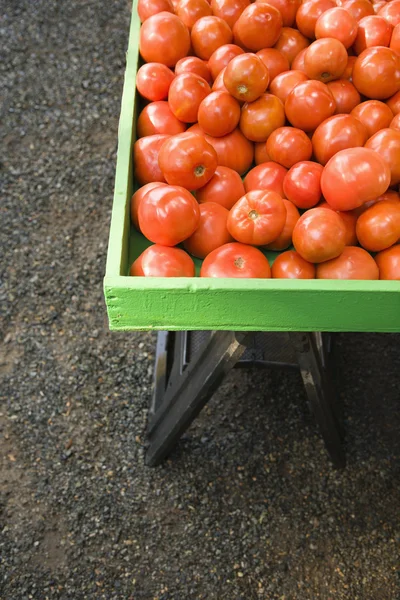 Tomates vermelhos . — Fotografia de Stock