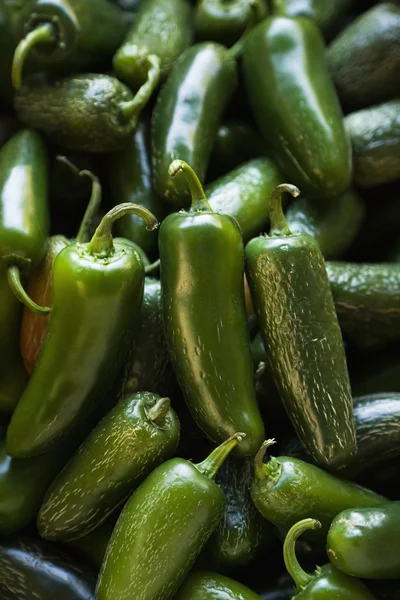 Čerstvé papričky jalapeňo. — Stock fotografie