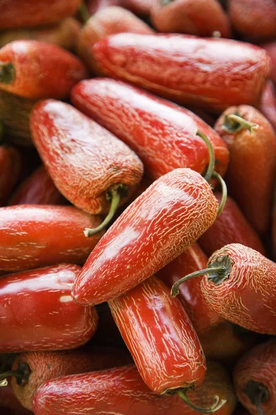 Červené serrano papričky. — Stock fotografie