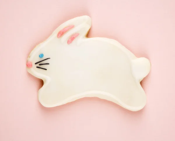 Bunny cukr cookie. — Stock fotografie